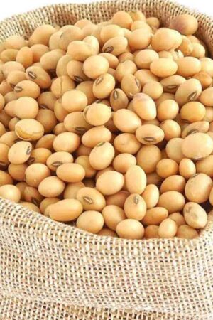 Soya Beans