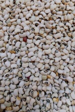 Kunde White